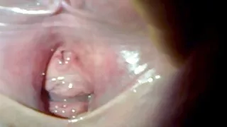 숙련 된 손잡이를 가진 서양 포르노 사이트 마사지 기계는 쉽게 클라이언트를 흥분시킵니다